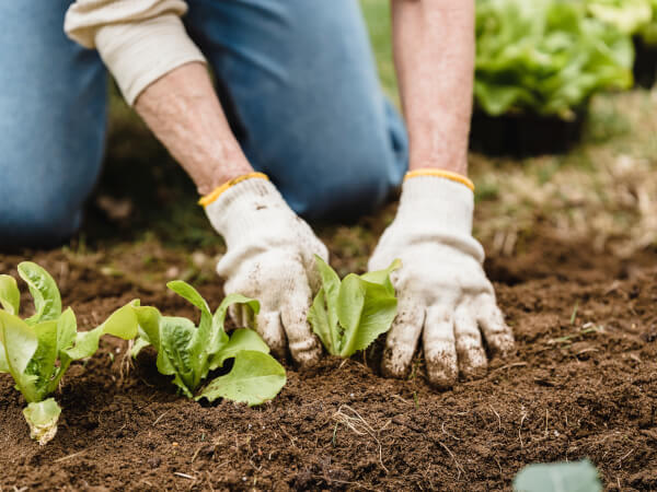 8 Environmentally Friendly Workshops in Sydney and Beyond