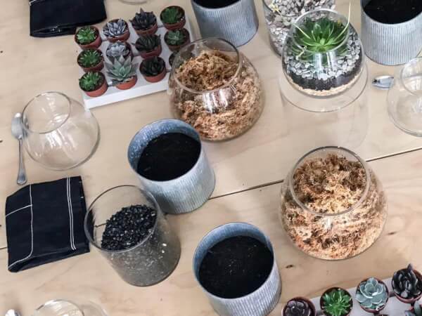 Inside a DIY Terrarium Class