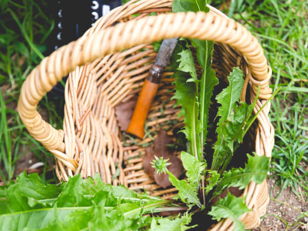 Practical Eco Friendly Gifts for Him in Sydney