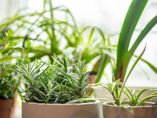 Practical Eco Friendly Gifts for Women in Sydney