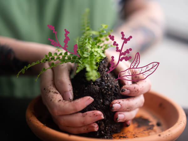 Why Plants Are Your Best Friend If You WFH