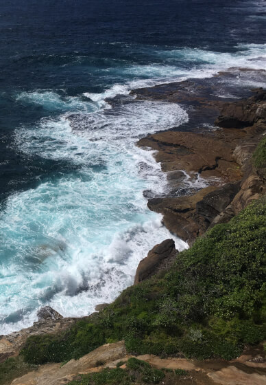 Beachside Floral Arrangement Workshop for Beginners