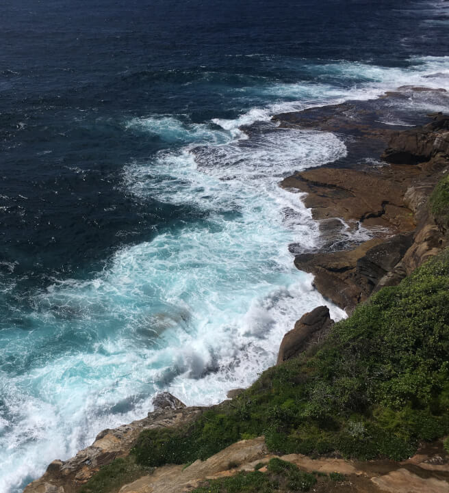 Beachside Floral Arrangement Workshop for Beginners