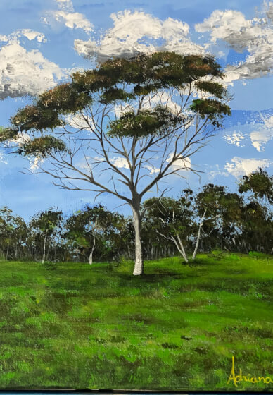 Acrylic Painting Workshop: Perth Hills Landscape