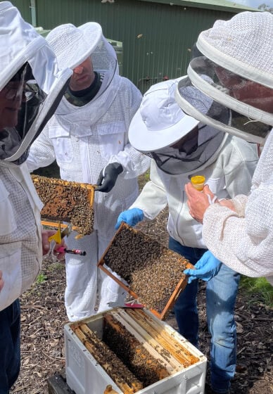 Advanced Beekeeping Course