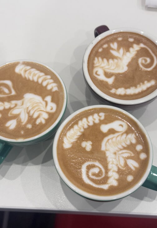Advanced Latte Art Class