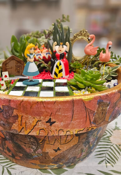 Alice in Wonderland Succulent Garden Workshop