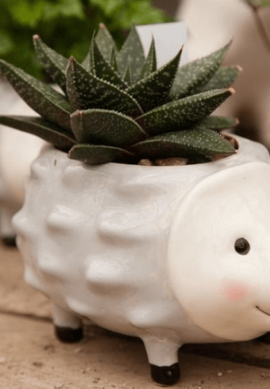Animal Clay Planter Pot Workshop