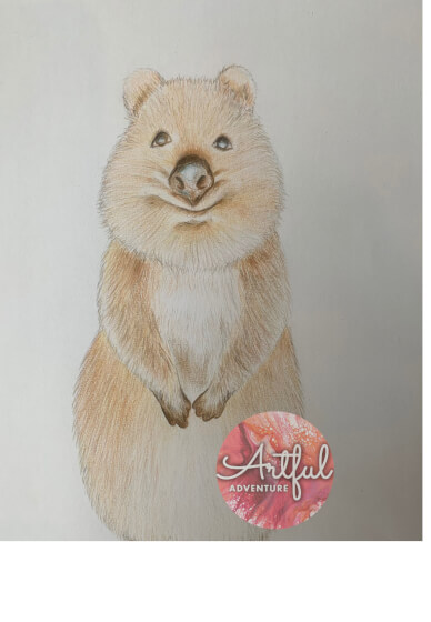 Animal Drawing Class