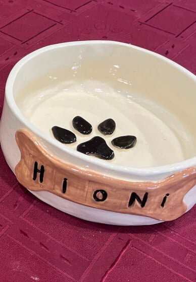 Custom Pet Bowl Pottery Class