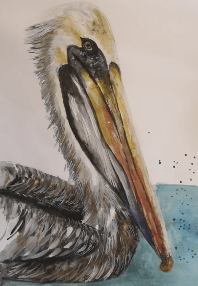 Animal Watercolour Painting Workshop