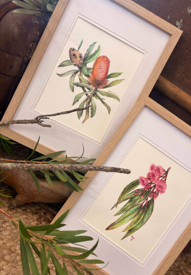 Australian Native Botanicals in Watercolour Pencil Workshop