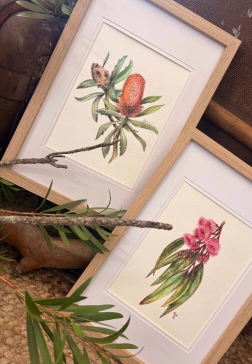 Australian Native Botanicals in Watercolour Pencil Workshop