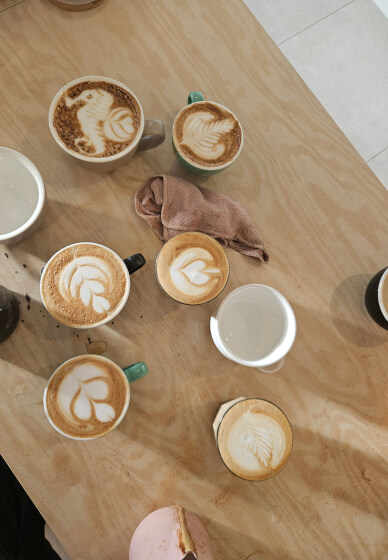 Barista and Coffee Roasting Course