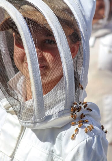Beekeeper Experience
