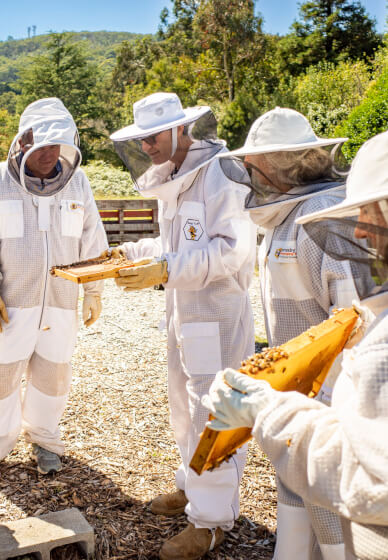 Beekeeping Class: Flow Hive Fun