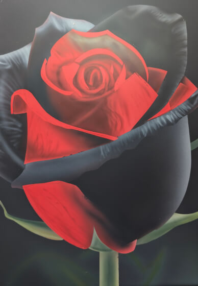 Beginner Airbrush Workshop: Black and Red Rose