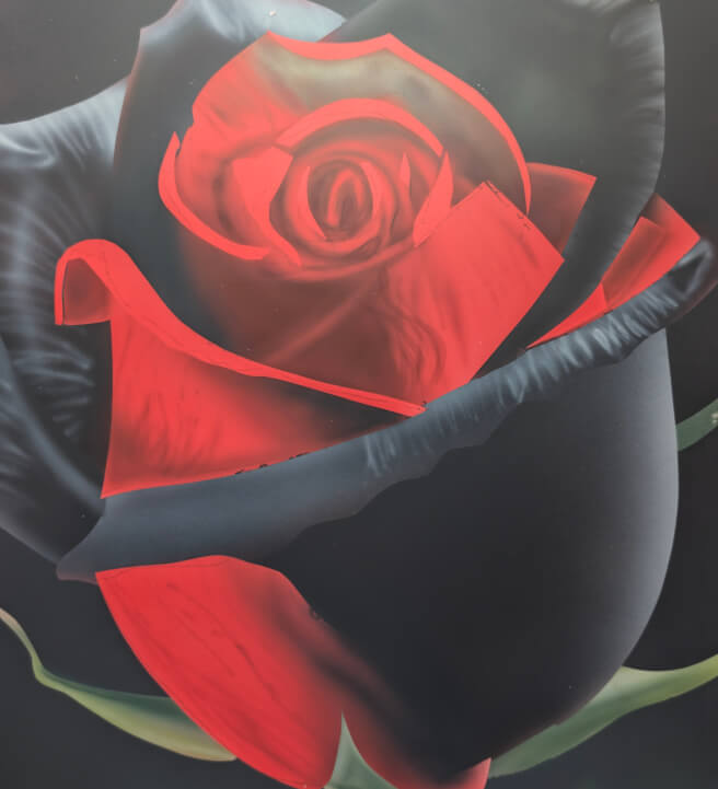 Beginner Airbrush Workshop: Black and Red Rose