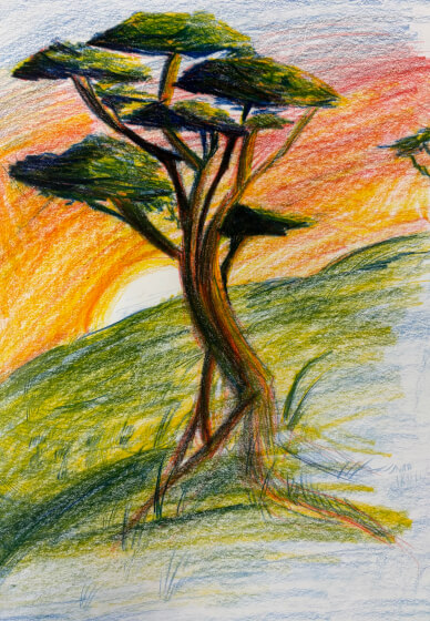 Beginner Colour Pencil Drawing Class: Draw a Tree