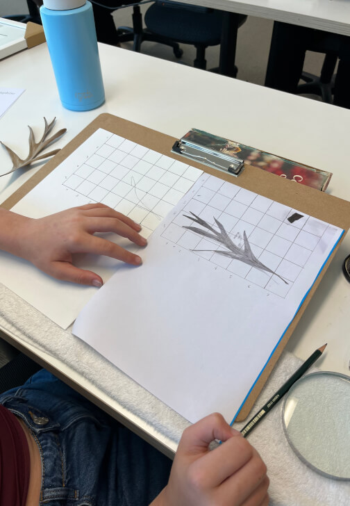 Beginner Drawing Class