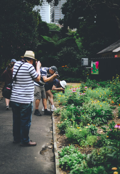 Beginner DSLR Photography Workshop