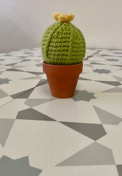 Beginners Crocheting Workshop: Barrel Cactus