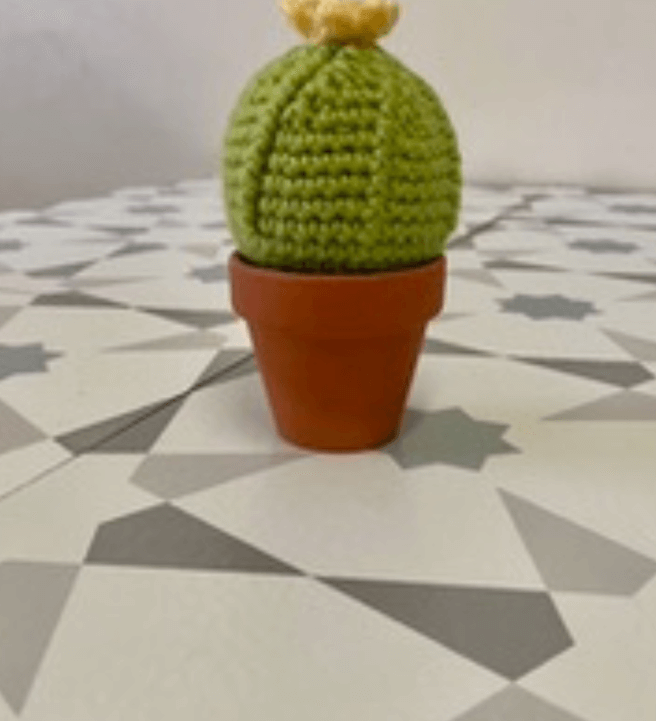 Beginners Crocheting Workshop: Barrel Cactus