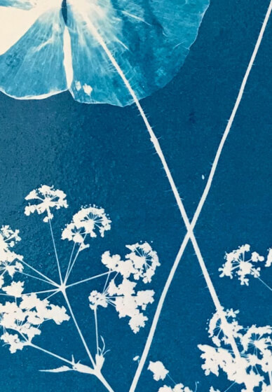 Beginners Cyanotype Workshop