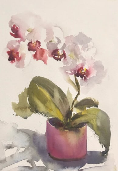 Beginners Watercolour Painting Course