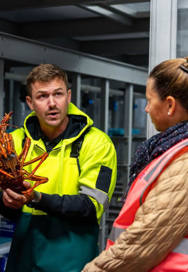 Sydney Fish Market Behind the Scenes Tour