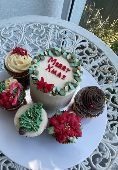 Bento Layer Cake and Cupcake Class: Xmas Theme