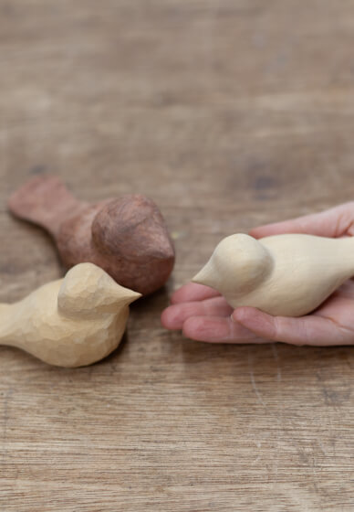 Bird Whittling Class