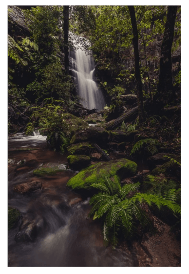 Blue Mountains Photography Workshop