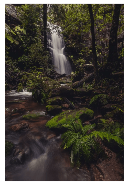 Blue Mountains Photography Workshop
