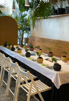 Bonsai Class for Beginners