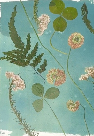Botanical Cyanotype Class for Beginners