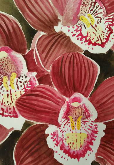Botanical Drawing Workshop
