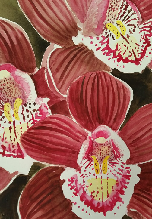 Botanical Drawing Workshop