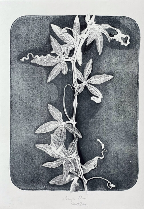 Botanical Gelli Plate Print Making Workshop
