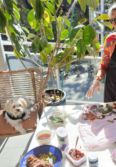 Botanical Print on Silk and Cotton Workshop