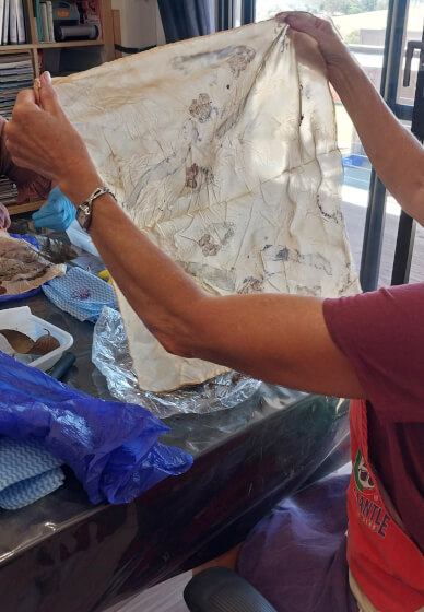 Botanical Printing Workshop