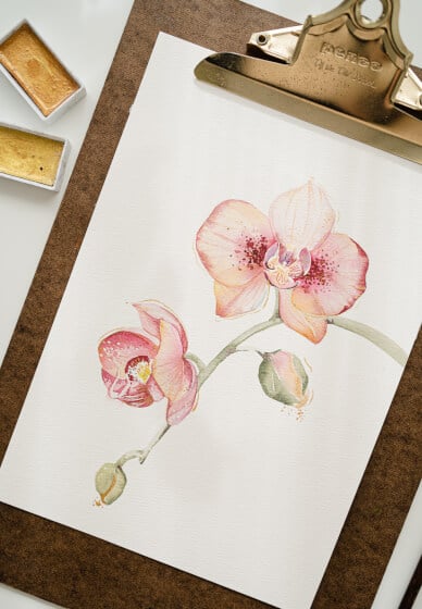 Botanical Watercolour Course for Beginners