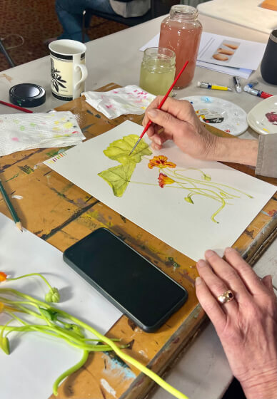 Botanical Watercolour Painting Workshop