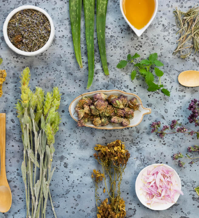 Bottled Botanicals: Oil Infusion Workshop