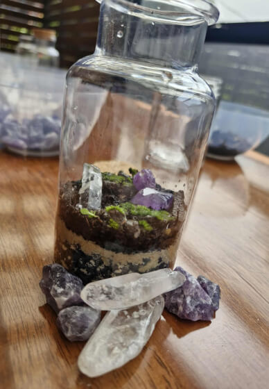Build Your Own Tiny Terrarium: DIY Kit