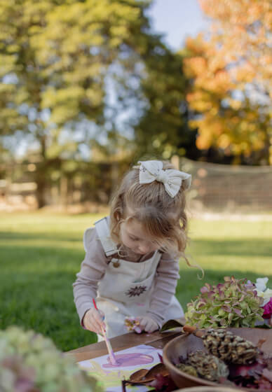 Bush Bugs (2-3 Years) Term 3 Course