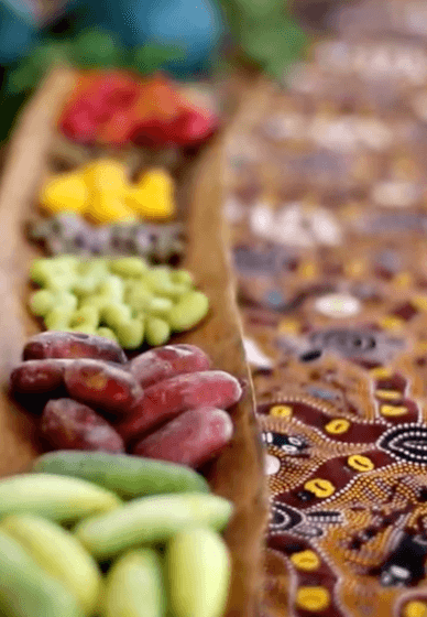Bush Tucker Tasting and Wellbeing Experience