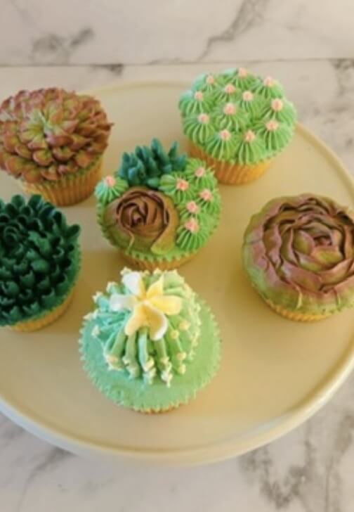 Buttercream Succulent Cupcake Decorating Workshop