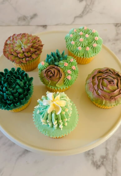 Buttercream Succulent Piping Class