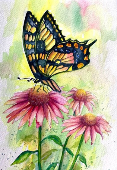 Butterfly and Echinacea Watercolour Painting Class